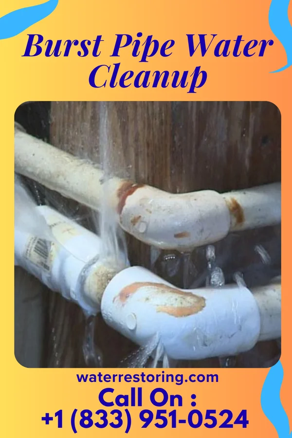 Burst Pipe Water Cleanup in Loretto, KY