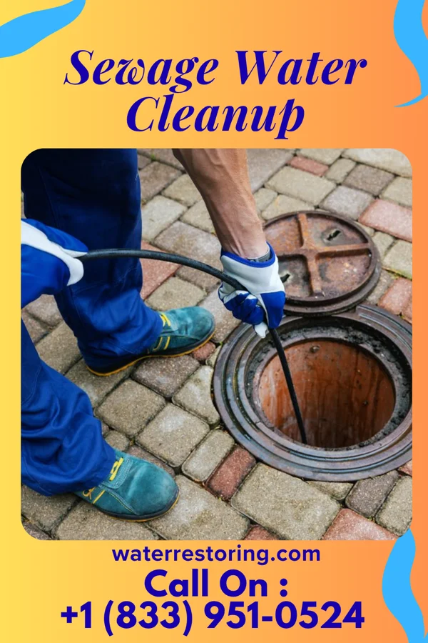 Sewage Water Cleanup in Loretto, KY