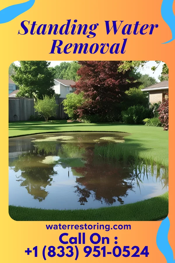 Standing Water Removal in Loretto, KY